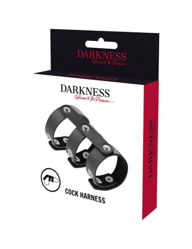 DARKNESS ADJUSTABLE LEATHER DOUBLE  PENIS AND TESTICLES RING