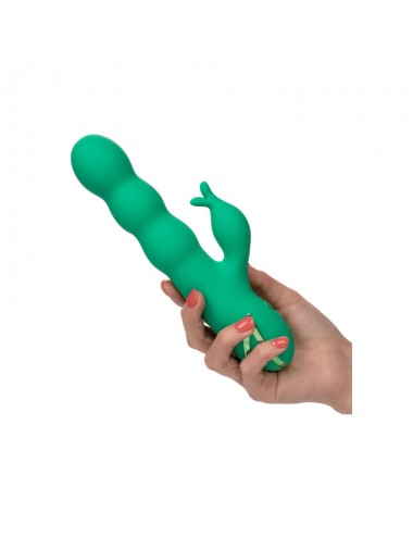 CALEX SONOMA PIÙ SODDISFACENTE VERDE