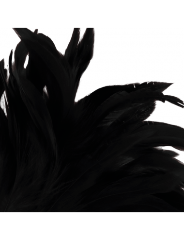 DARKNESS BLACK FEATHER LUX