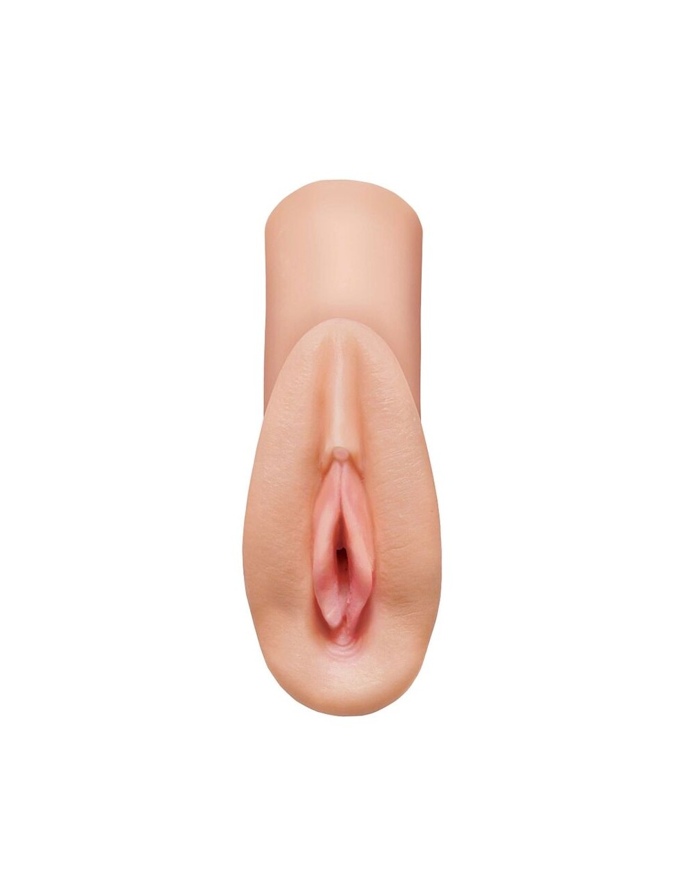 PDX PLUS + PERFECT PUSSY HEAVEN STROKER PDX PLUS + PERFECT PUSSY HEAVEN STROKER