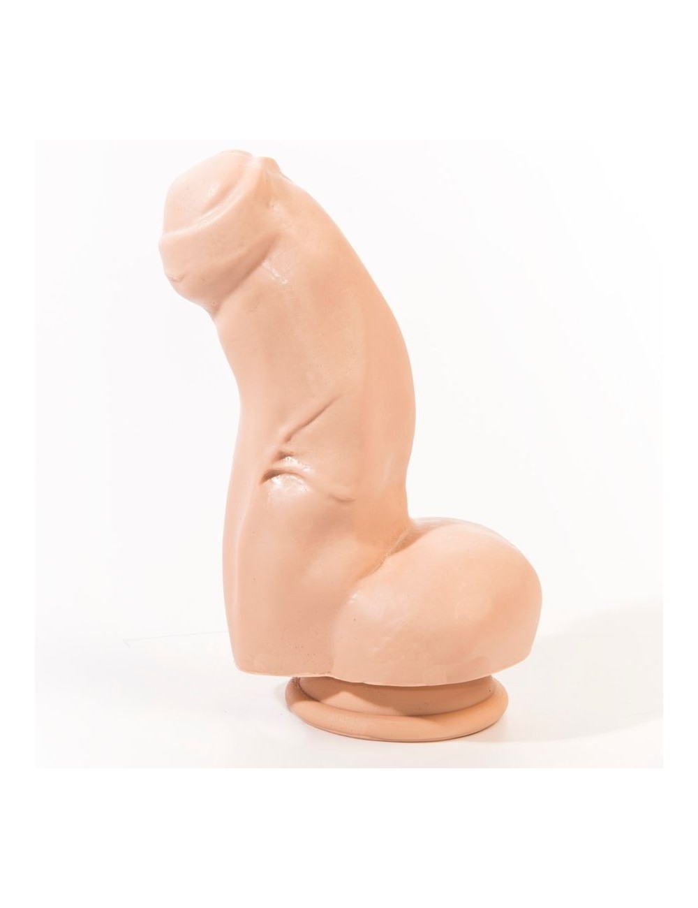 CAMERA ROSA NESTOR DILDO REALISTICO CARNE 16 CAMERA ROSA NESTOR DILDO REALISTICO CARNE 16