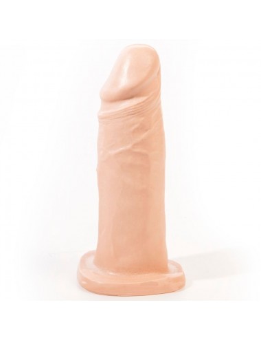 CAMERA ROSA DAEL DILDO REALISTICO CARNE 18