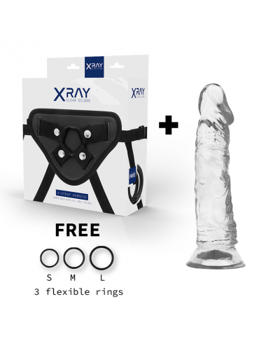 XRAY ARNÉS + DILDO TRANSPARENTE 19CM X 4CM