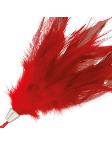 PIUMA ROSSO SCURO 17CM