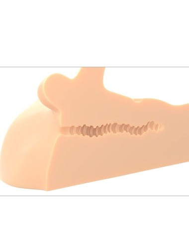 PDX PLUS - MASTURBATORE PERFETTO DEL PENE E DELL'ANO