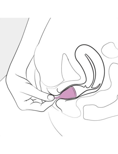 FEMINTIMATE - EVE COPPE MESTRUALI IN SILICONE TAGLIA L