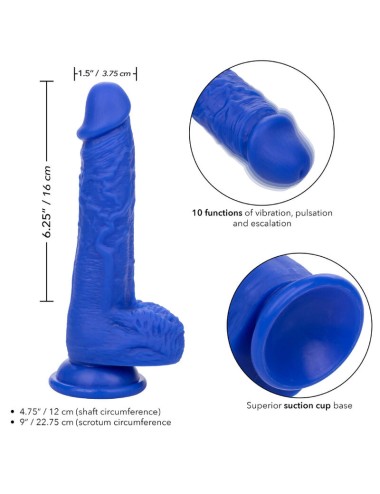 ADMIRAL - VIBRATORE DILDO REALISTICO SAILOR BLU