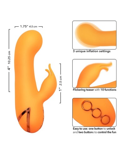 CALEXOTICS - MONTECITO MUSE VIBRATORE RABBIT ORANGE BY CALIFORNIA DREAMING