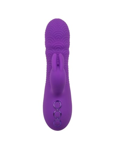 CALEXOTICS - VIBRATORE MANHATTAN BEACH MARVEL RABBIT VIOLA DI CALIFORNIA DREAMING