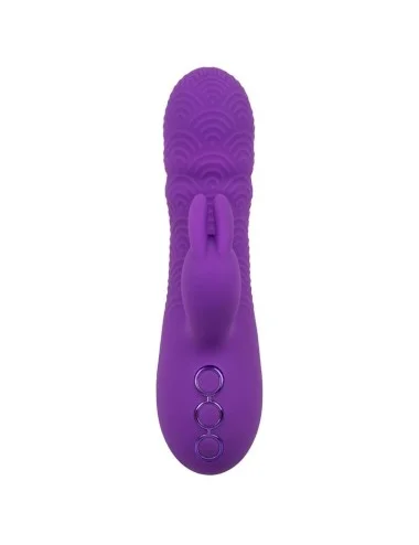 CALEXOTICS - VIBRATORE MANHATTAN BEACH MARVEL RABBIT VIOLA DI CALIFORNIA DREAMING