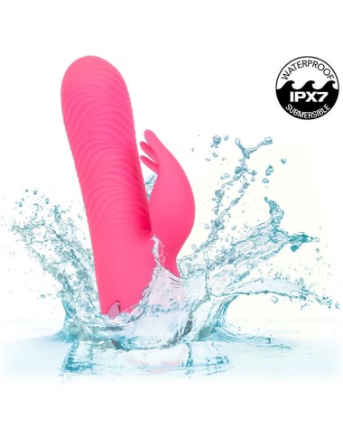 CALEXOTICS - VIBRATORE SACRAMENTO SWEETIE RABBIT PINK BY CALIFORNIA DREAMING