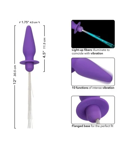 CALEXOTICS - SOUTHERN LIGHTS LIGHT UP PLUG ANALE 10 VIBRAZIONI SILICONE VIOLA