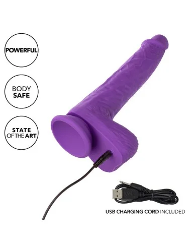 CALEXOTICS - STUDS VIBRATORE RICARICABILE E ROTANTE 10 VIBRAZIONI VIOLA