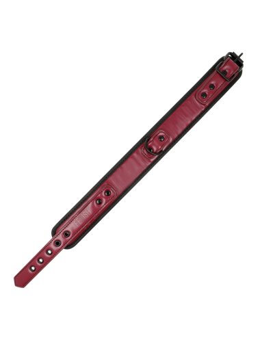 FETISH SUBMISSIVE DARK ROOM - COLLANA A CATENA CON FODERA IN NEOPRENE
