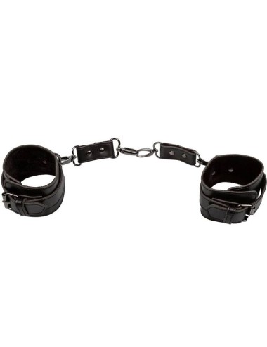 CALEXOTICS - EUPHORIA POLSINI