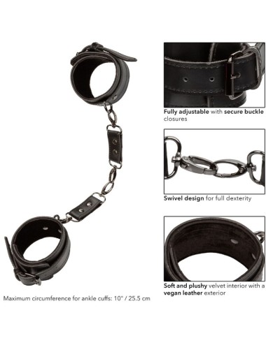 CALEXOTICS - EUPHORIA POLSINI ALLA CAVIGLIA