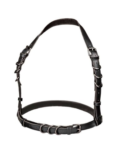 CALEXOTICS - EUPHORIA IMBRACATURA CON FIBBIA HALTER NERA