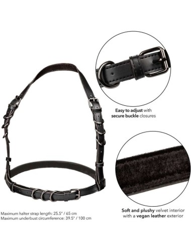 CALEXOTICS - EUPHORIA IMBRACATURA CON FIBBIA HALTER NERA