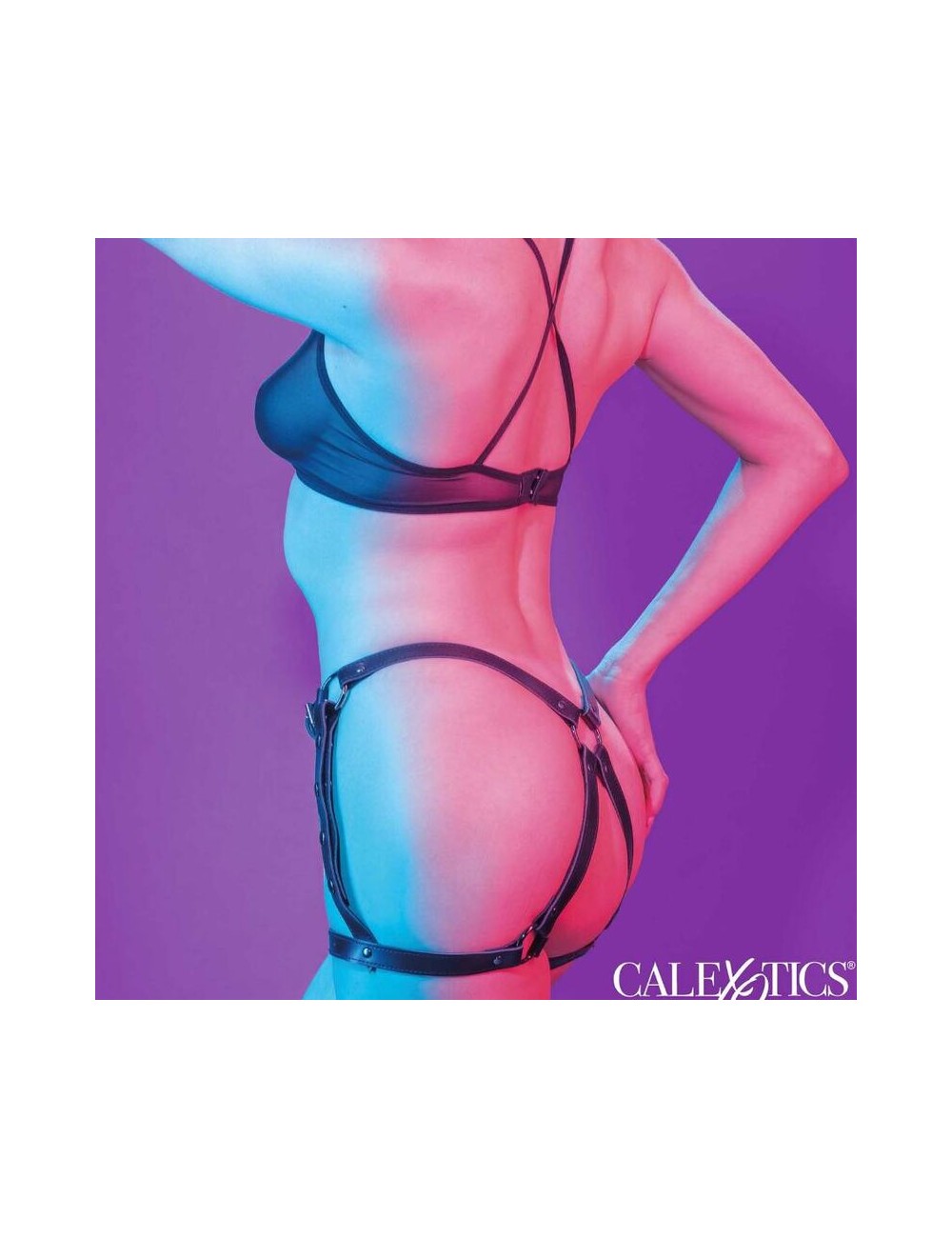 CALEXOTICS - EUPHORIA EQUITAZIONE COSCIA CALEXOTICS - EUPHORIA EQUITAZIONE COSCIA
