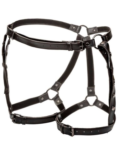 CALEXOTICS - EUPHORIA EQUITAZIONE COSCIA