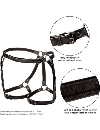 CALEXOTICS - EUPHORIA PETTORINA DA EQUITAZIONE PLUS TAGLIA
