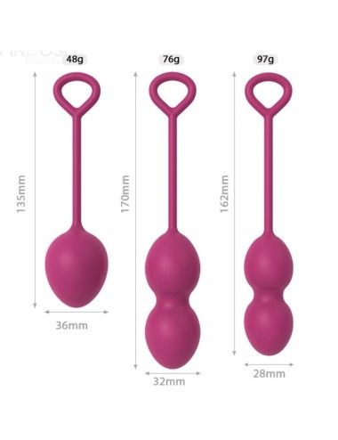 ARMONY - ANABIOSIS MANUBRI VAGINALI 3 LIVELLI BORDEAUX