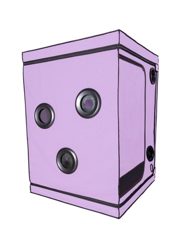 SECRET DOME - KINK CLUB CABIN SCANDALE VIOLA