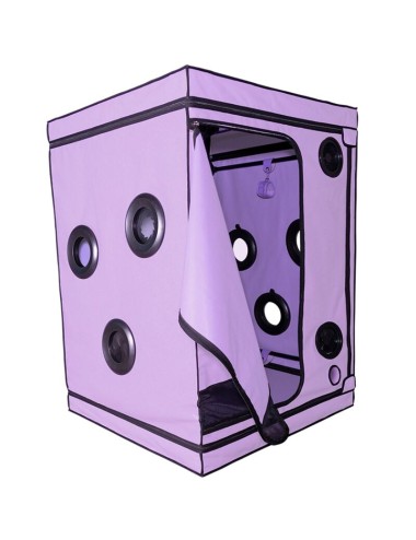 SECRET DOME - KINK CLUB CABIN SCANDALE VIOLA