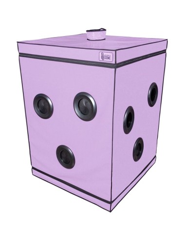 SECRET DOME - KINK CLUB CABIN SCANDALE VIOLA