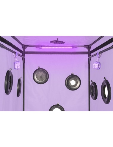 SECRET DOME - KINK CLUB CABIN SCANDALE VIOLA