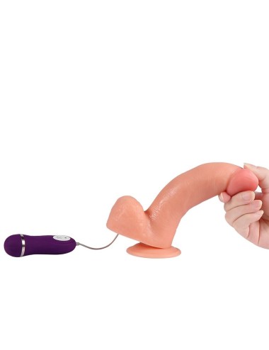 SHEQU - DILDO VIBRANTE PHANTOM CON TELECOMANDO 20 CM