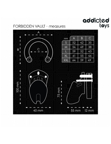 ADDICTED TOYS LOCKED - GABBIA PER PENE FORBIDDEN VAULT 10 CM