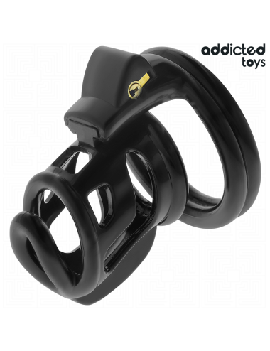 ADDICTED TOYS LOCKED - GABBIA PER PENE GILDEN CAGE 8