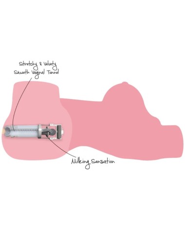 DESIDERIO NASCOSTO - MASTURBATORE FEMMINILE MEGA TROIA CON TORSO DA 22 KG