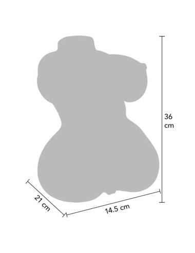 DESIDERIO NASCOSTO - MASTURBADOR VAGINA E ANO DOPPIO D SUCCOSO 5 KG