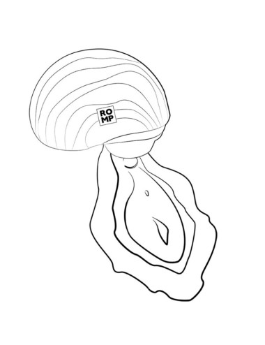 ROMP - SPIN CLITORAL SUCTION ANTITUDE WITH ROTATING OPENING AND CHIUSURE